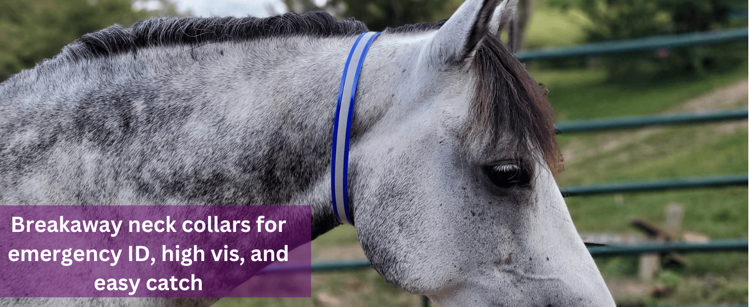 Breakaway Neck Collars for Emergency ID